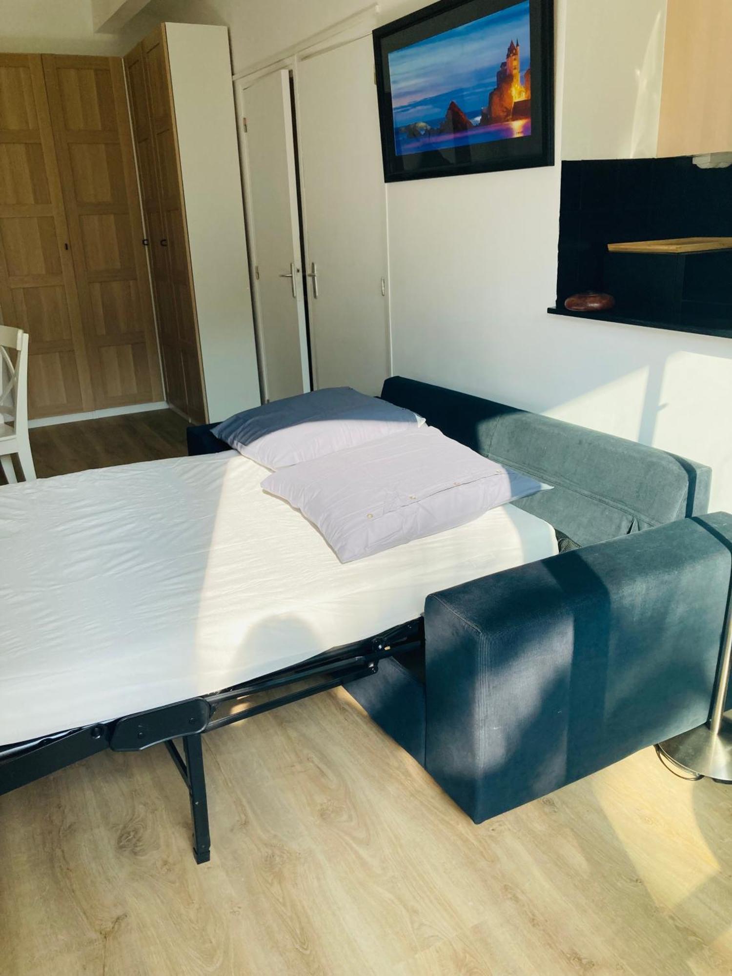 Charming 1 Bedroom Flat, Biarritz Center With Pool And Car Park المظهر الخارجي الصورة